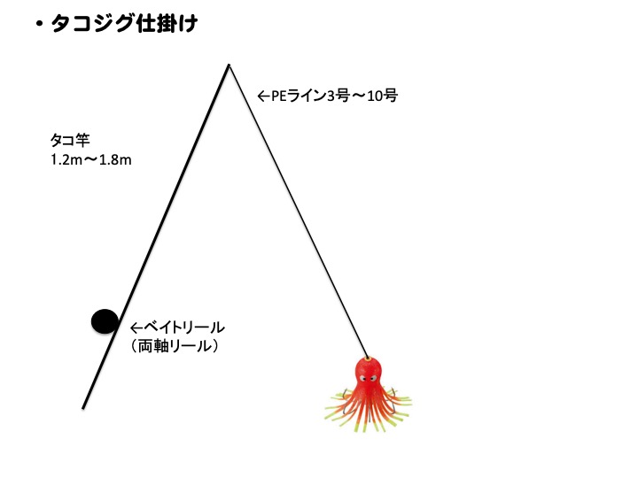 タコを釣る タコの釣り方 タコジグ入門 釣れるんか