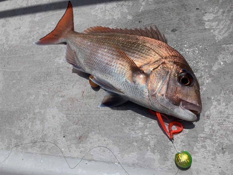 ルアー 釣れるタイラバの選び方とおすすめタイラバを紹介 釣れるんか