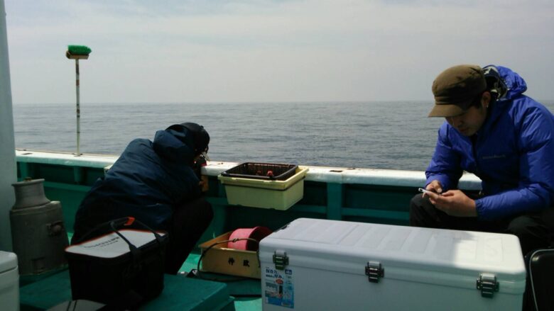 船イサキ入門 船からのイサキ釣りの道具と釣り方を解説 釣れるんか