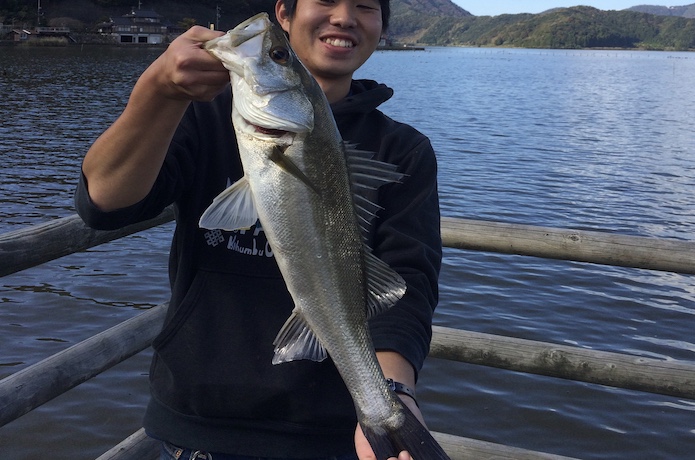 シーバスの釣り方 シーバス入門 釣れるんか