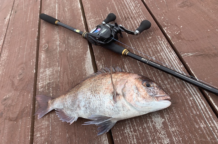 ズボ 釣り と は