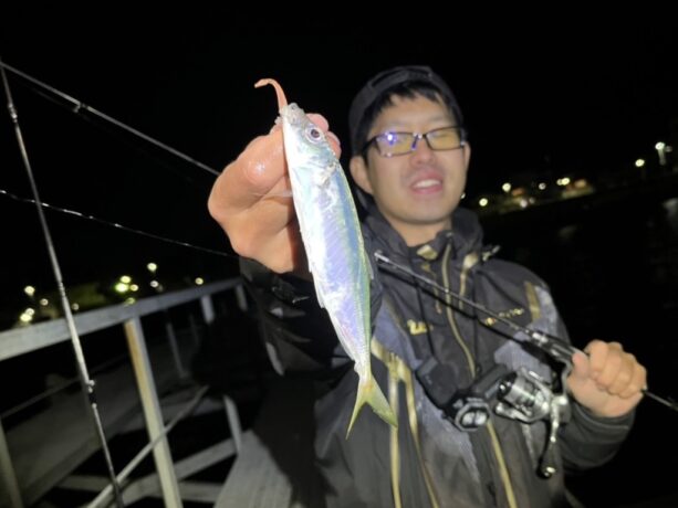 アジング　釣れない