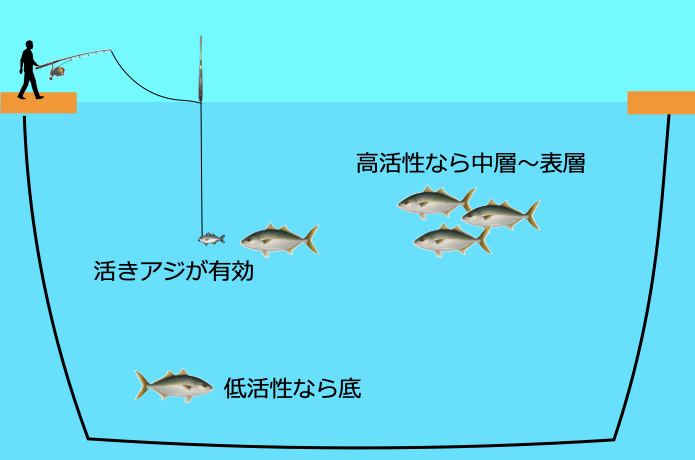 海上釣堀 青物