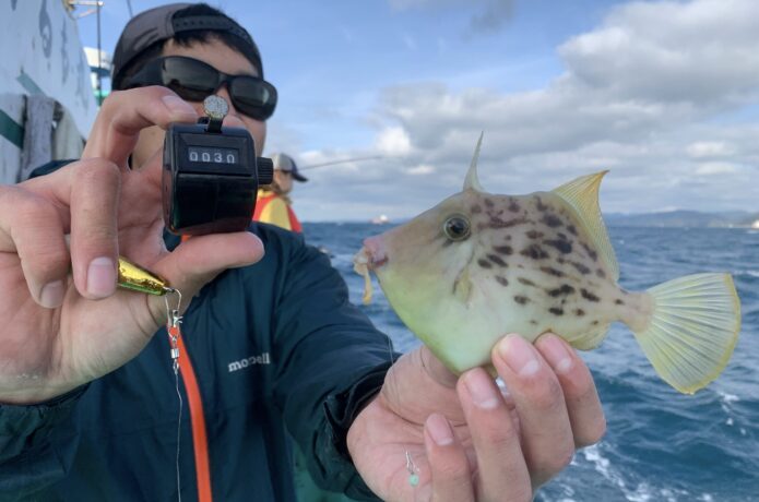 カワハギ　初心者
