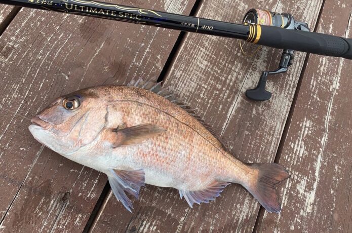 海上釣堀　竿　おすすめ
