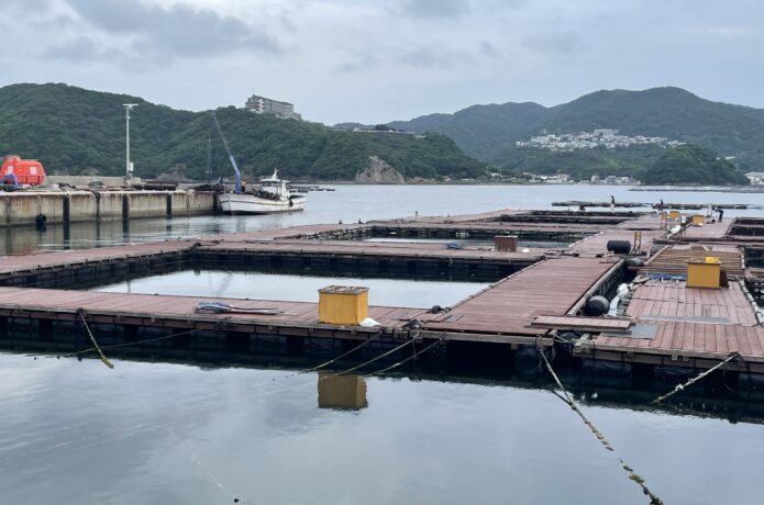 海上釣堀 じゃのひれ