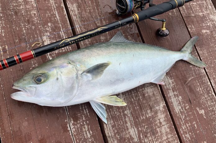 海上釣堀 青物