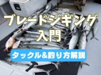 ブレードジギング入門