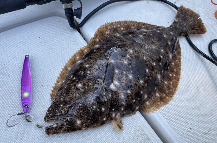 ヒラメ ジギング