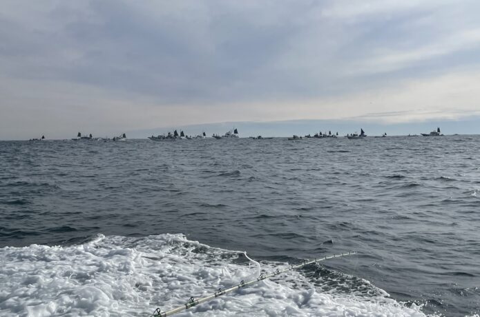 ヒラメ 釣れる時期