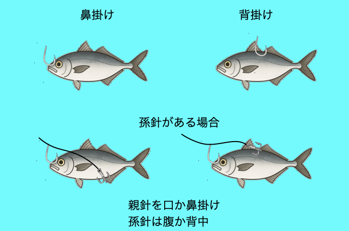 ヒラメ エサ 付け方